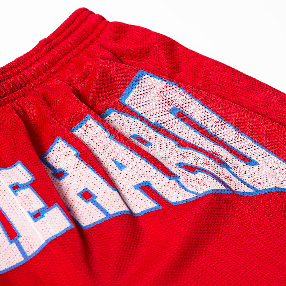 Hit Me Hard Mesh Shorts