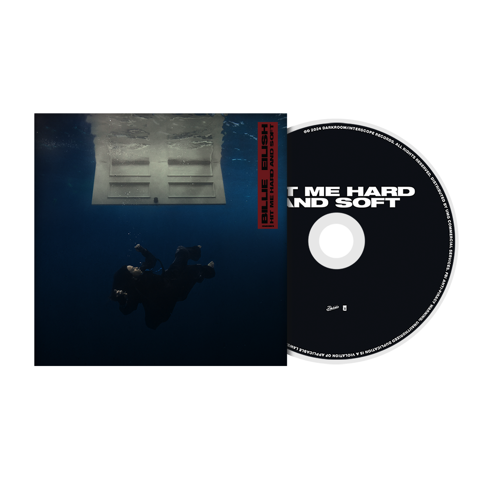 HIT ME HARD AND SOFT CD standard